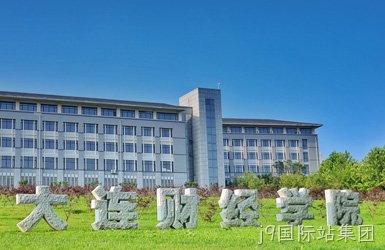 大连财经学院网站设计案例