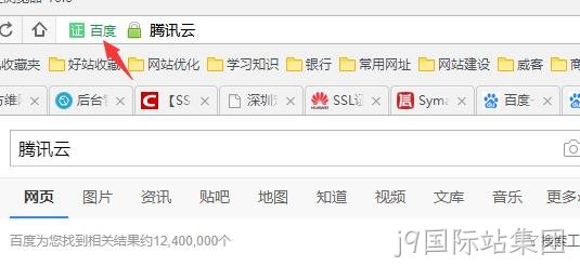 HTTPS 公司名显示2