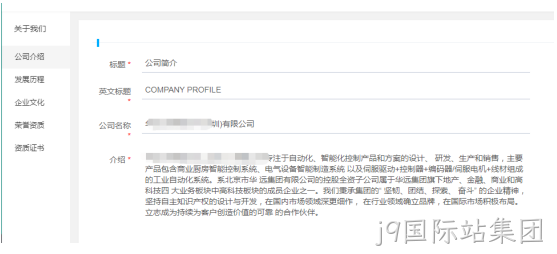 企业网站开发