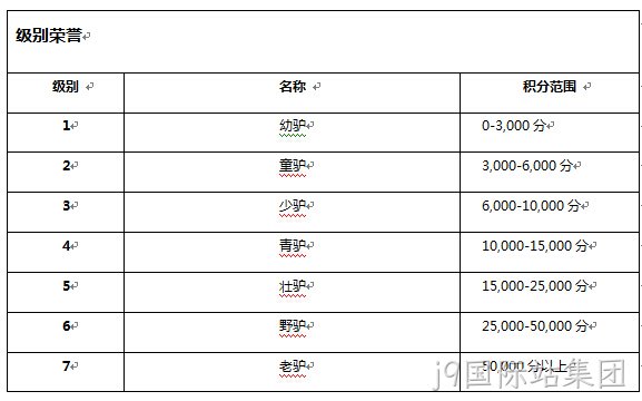 j9国际站集团级别系统