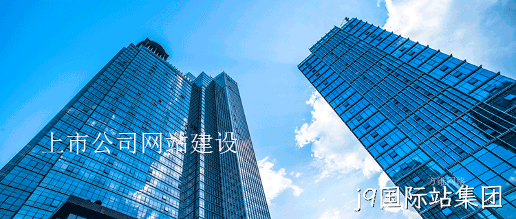 上市公司网站建设