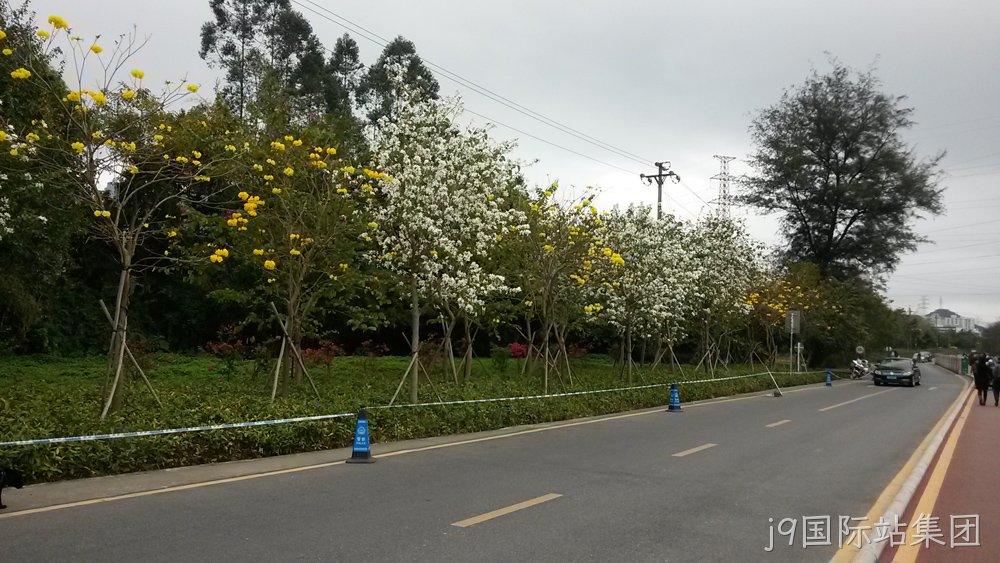 j9国际站集团仙湖行